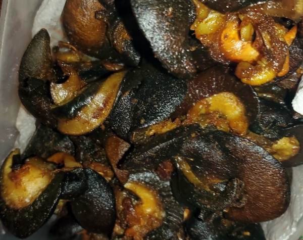 Best cooked snails in the DMV - TwinkleMunchiesCatering